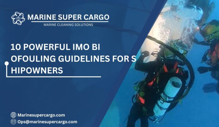 IMO biofouling guidelines for shipowners