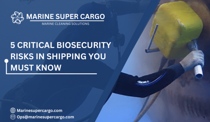 Biosecurity risks in global shipping
