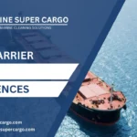 ESSENTIAL Bulk Carrier Hold Differences: Handysize, Supramax, Panamax, Capesize & VLOC