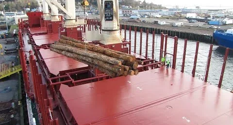 Timber Cargo Sawdust Bark Sap Issues
