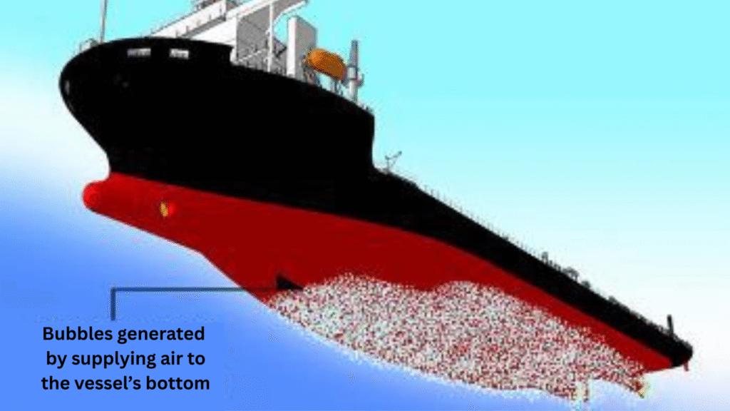 Hull Grooming vs Hull Cleaning