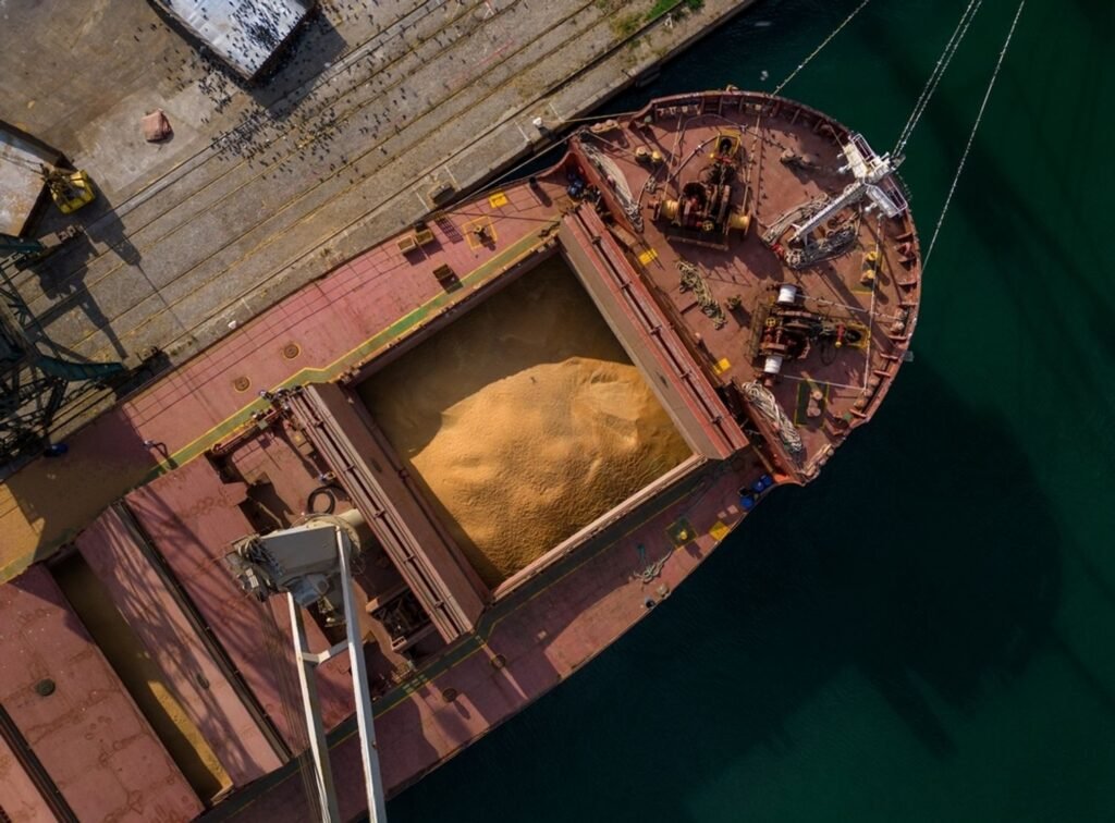 Grain Cargo Hold Cleaning Fujairah