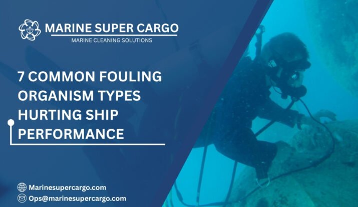Common fouling organisms affecting ship performance